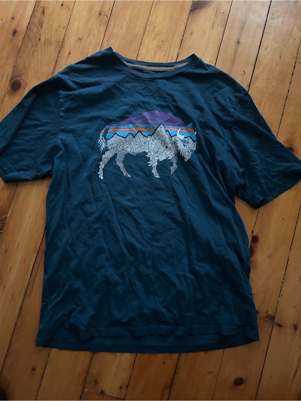 Patagonia Women's small organic cotton  T-Shirt Bison blue